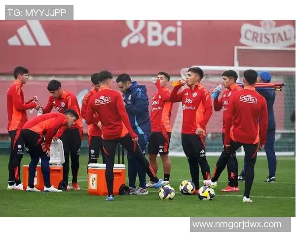 智利足球困境探析为何昔日劲旅如今难觅闪耀球星